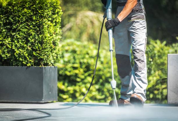 Best Sidewalk and Walkway Cleaning  in Fort Bliss, TX